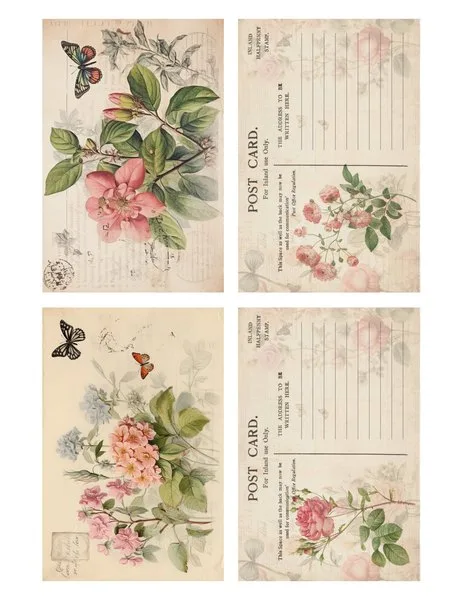 Two postcards, front and back